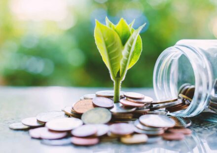 A plant grows from coins.