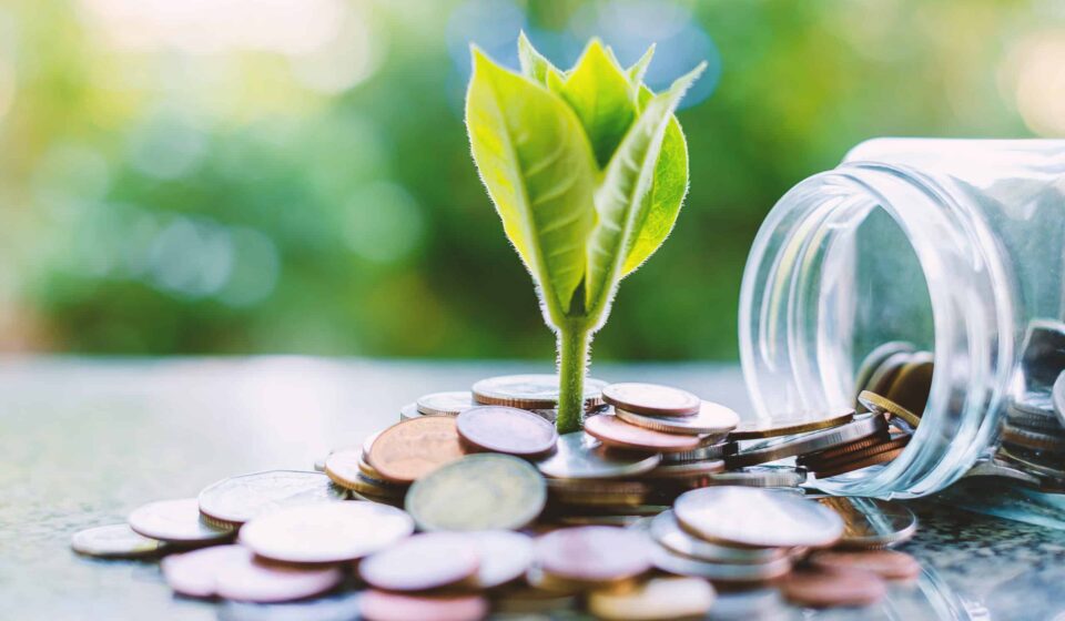 A plant grows from coins.