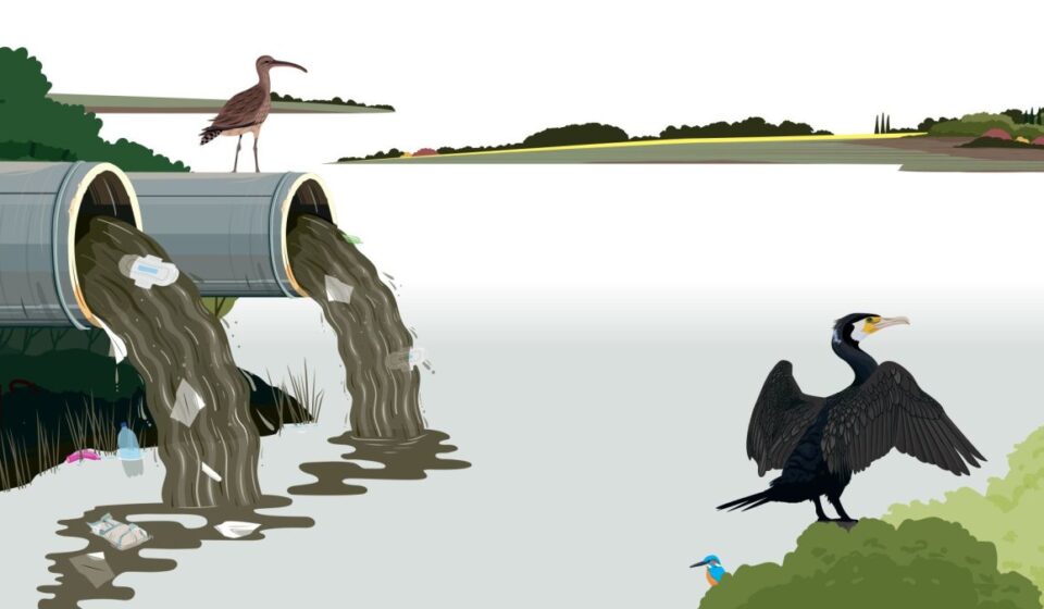 The House Opinion Article | The Choices Facing Burnham's Government On Water