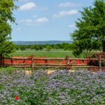 Texas Local: My Favorite Small City to Visit Is Fredericksburg