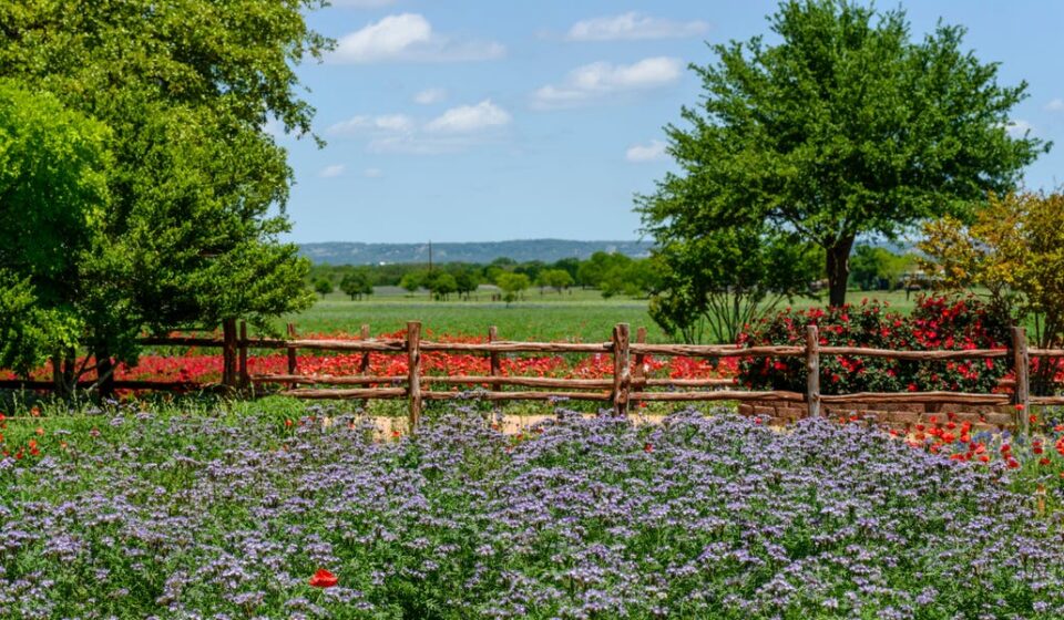 Texas Local: My Favorite Small City to Visit Is Fredericksburg